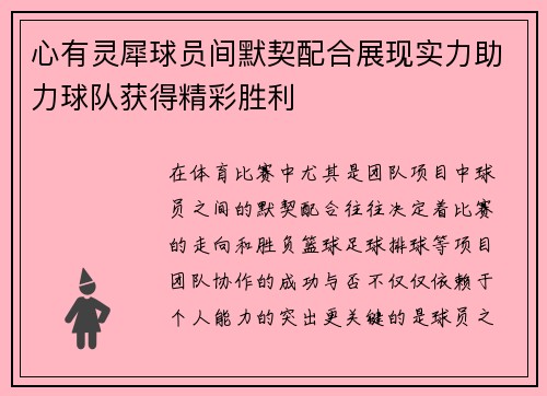 心有灵犀球员间默契配合展现实力助力球队获得精彩胜利