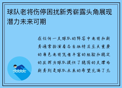 球队老将伤停困扰新秀崭露头角展现潜力未来可期